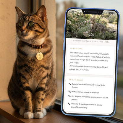 Application Souvenir Chat
