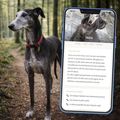 Application Souvenir Chien Medaléa