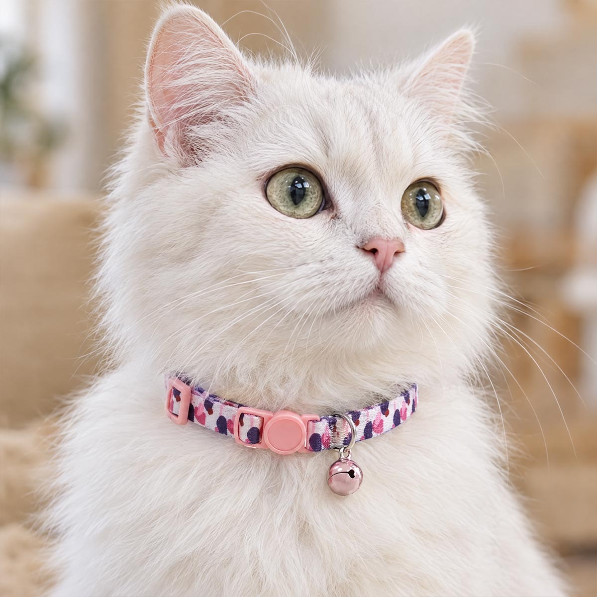 Chat blanc à poils longs portant un collier anti-étranglement Medaléa à motif imprimé