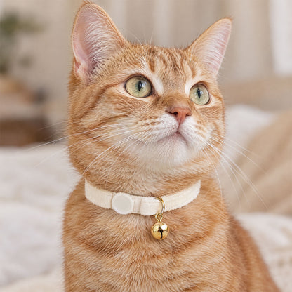 Chat avec Collier Anti-Etranglement pour Chat Blanc crème