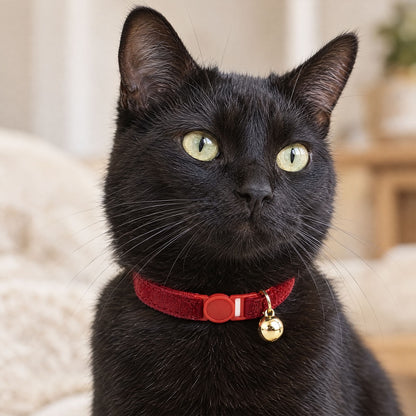 Chat avec Collier Anti-Etranglement pour Chat Rouge