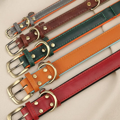 Collier marron pour chien à personnaliser