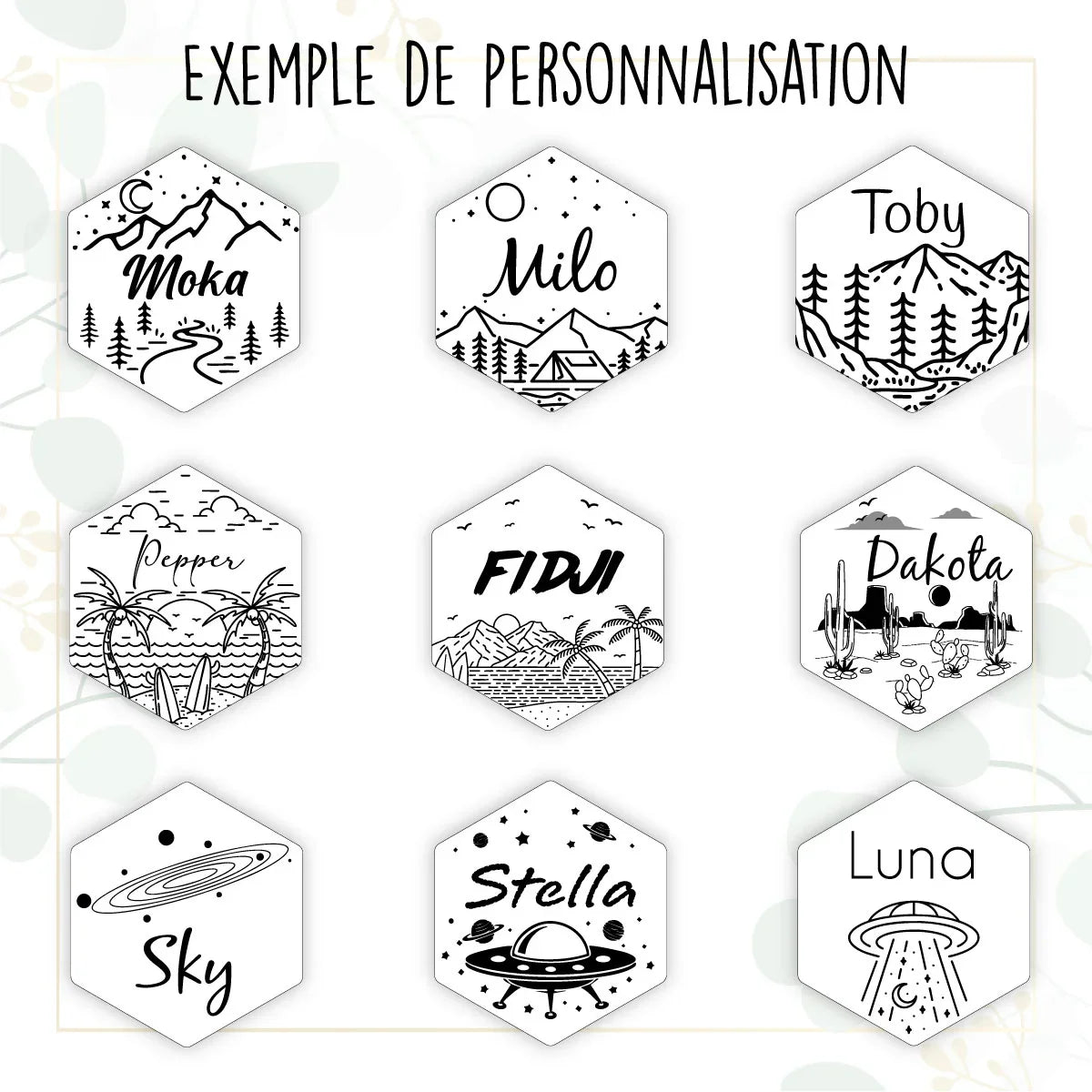 Médaille pour Chat Hexagonal à Personnaliser