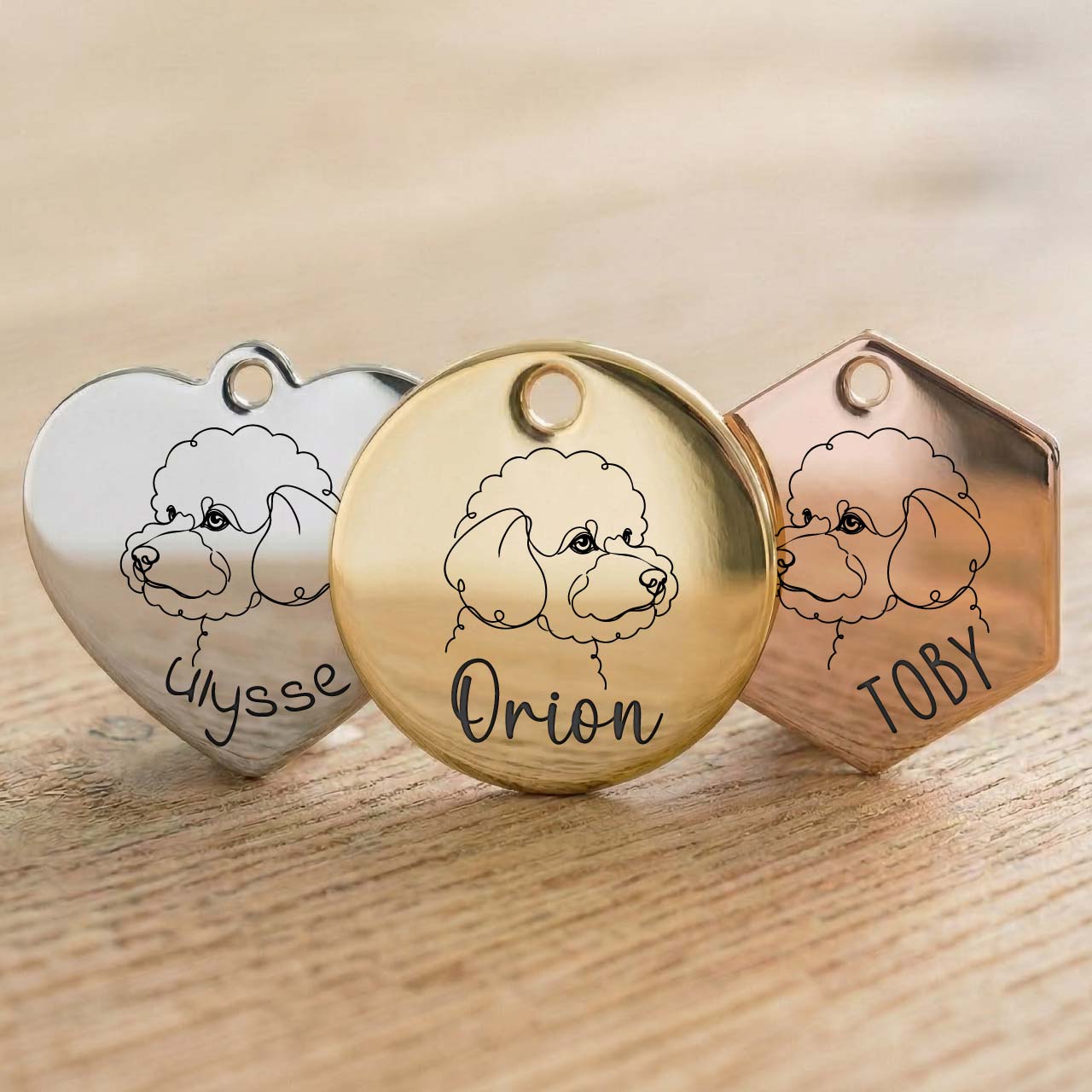 Médaille Bichon Frisé Personnalisée