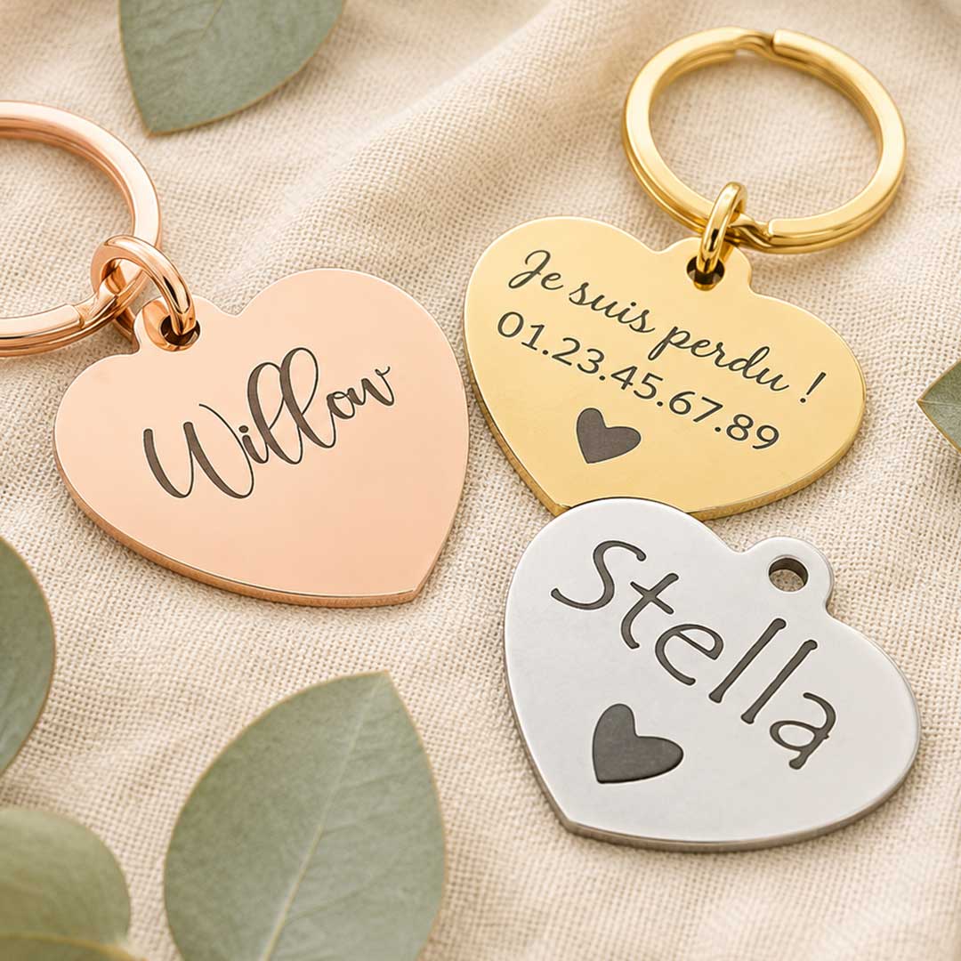 Médaille cœur gravée au laser pour chien en acier inoxydable, personnalisée avec prénom et coordonnées, fabriquée en France par Medaléa