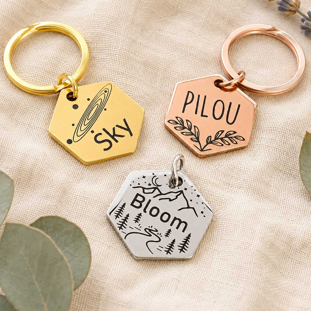 Médaille hexagonale gravée au laser pour chien en acier inoxydable, personnalisée avec prénom et coordonnées, fabriquée en France par Medaléa